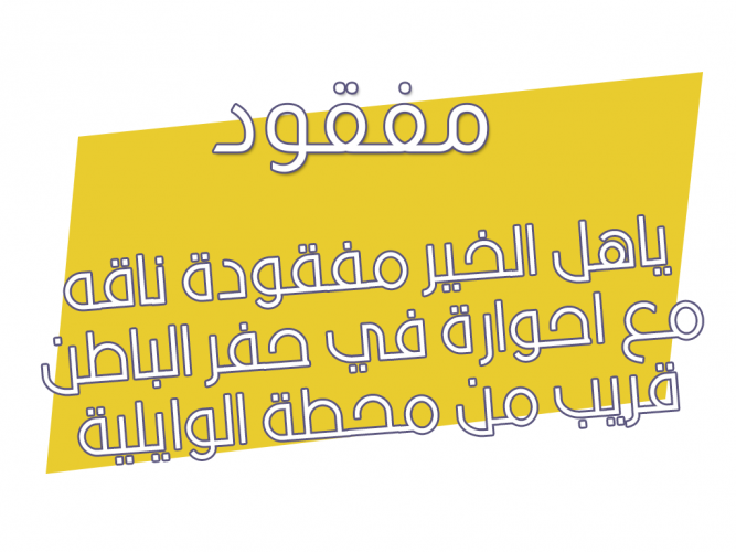  ناقه مع احوارة مفقودة