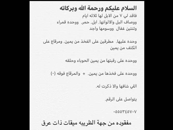  فاقد لي 7 من الابل لها ثلاث أيام