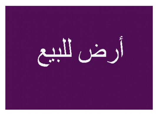  ارض للبيع بولى العهد 4