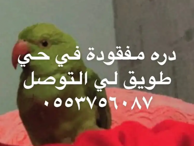  مفقود اتمنى المساعدات