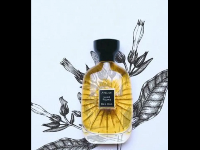  عطر لون فيلاين