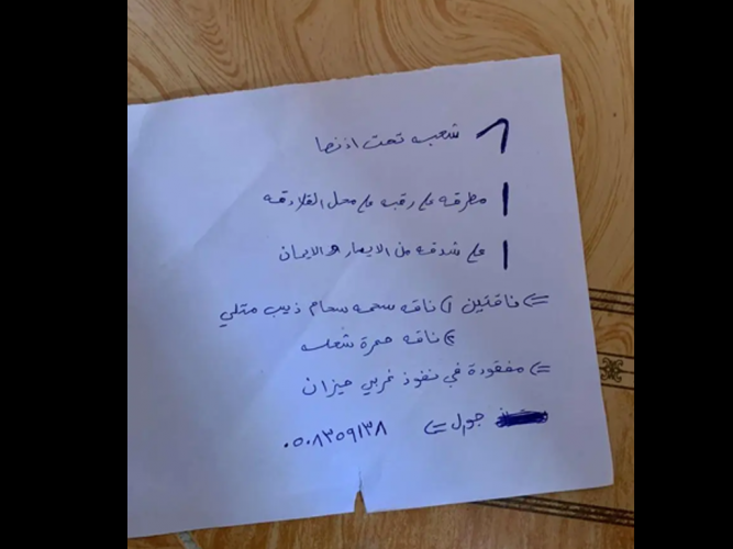  ناقتين مفقوده