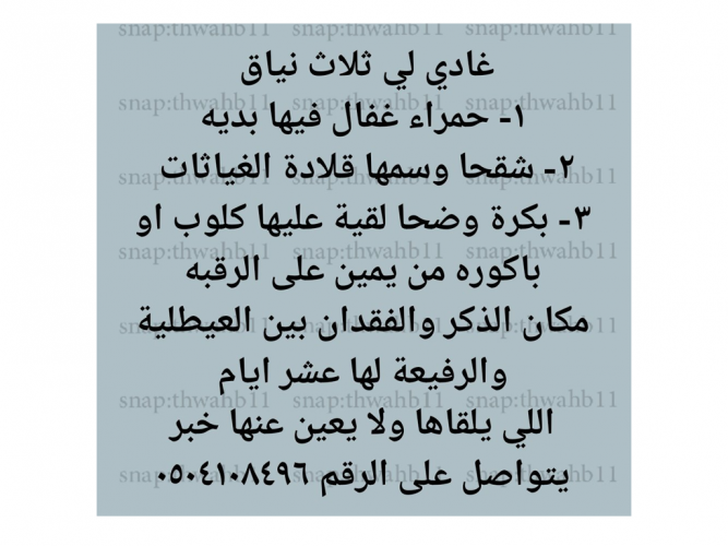  غاد لي ثلاث نياق