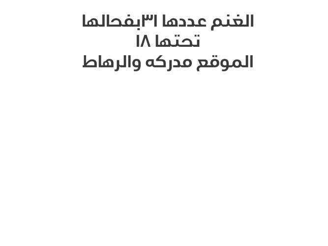  غنم للبيع