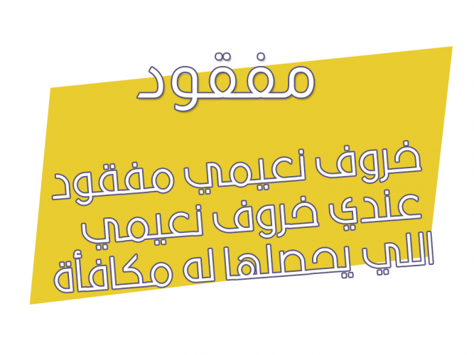  خروف نعيمي مفقود