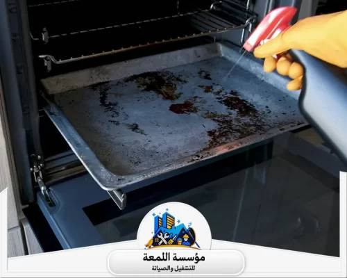  شركة مكافحة حشرات بالرياض