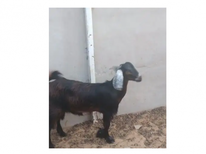  الرياض حي المصانع