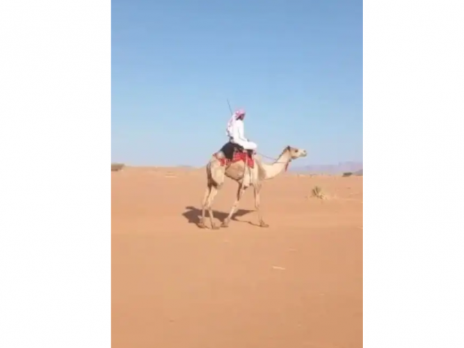  قعود طابع على الشرط