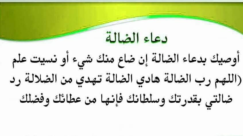 محفظة