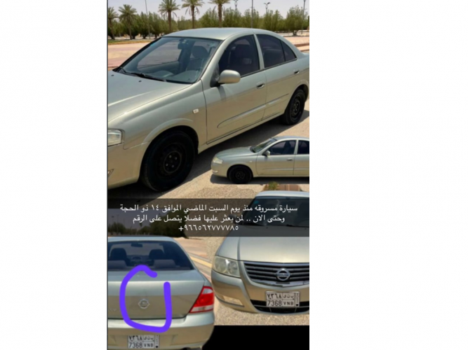  سيارة مسروقة
