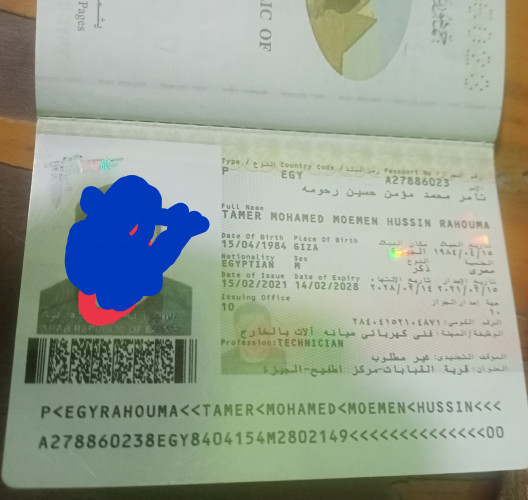  القنفذه