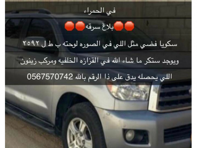  سكويا فضي