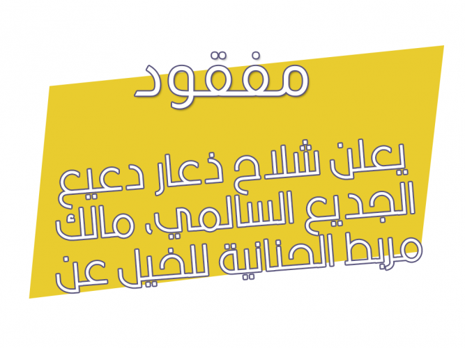  فقدان جواز سفر
