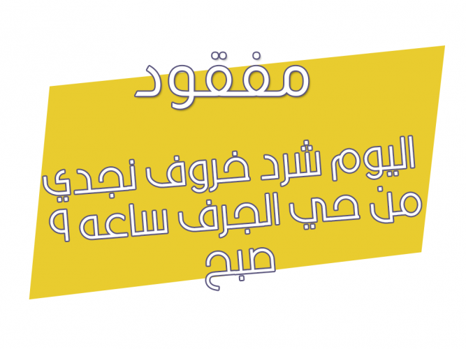  خروف نجدي ضايع