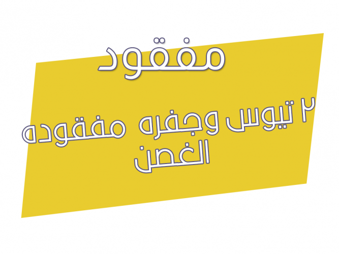  ماعز مفقود عدد 3