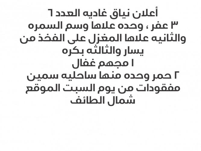  إعلان نياق غاديه لها اسبوع