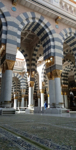  رخصة صيد