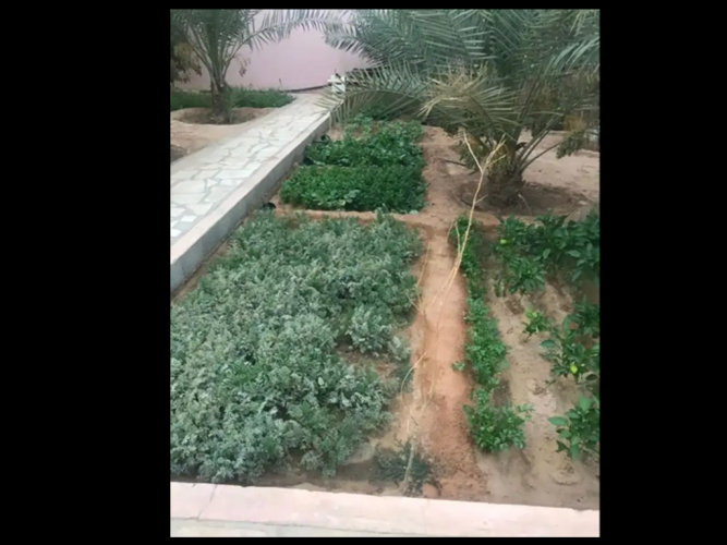 للبيع استراحة بالمشاعلة